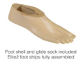Foot shell and glide sock