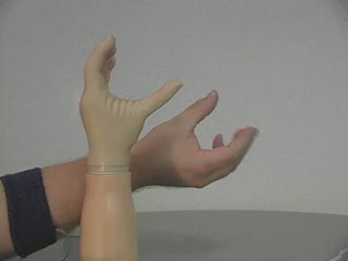 Otto Bock Speed Sensor vs the Human Hand